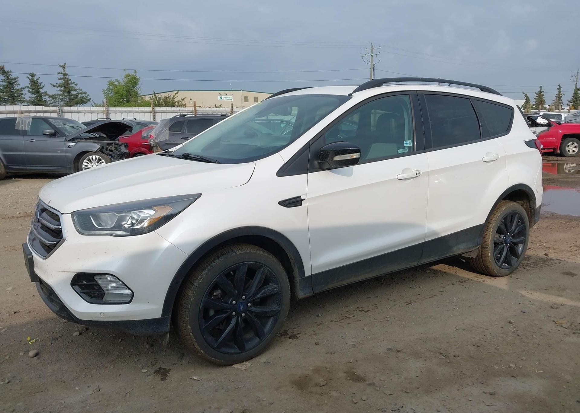 2019 FORD ESCAPE TITANIUM