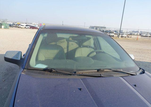 2009 FORD FOCUS SE