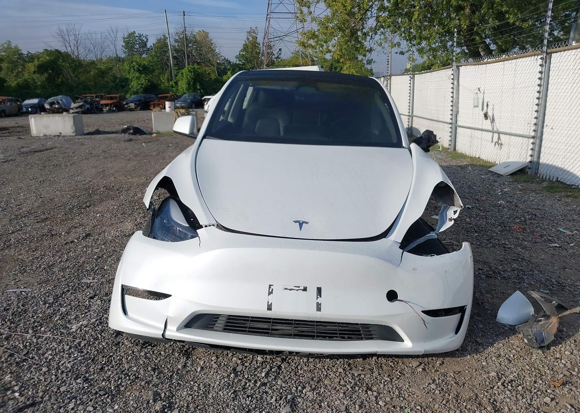 2023 TESLA MODEL Y