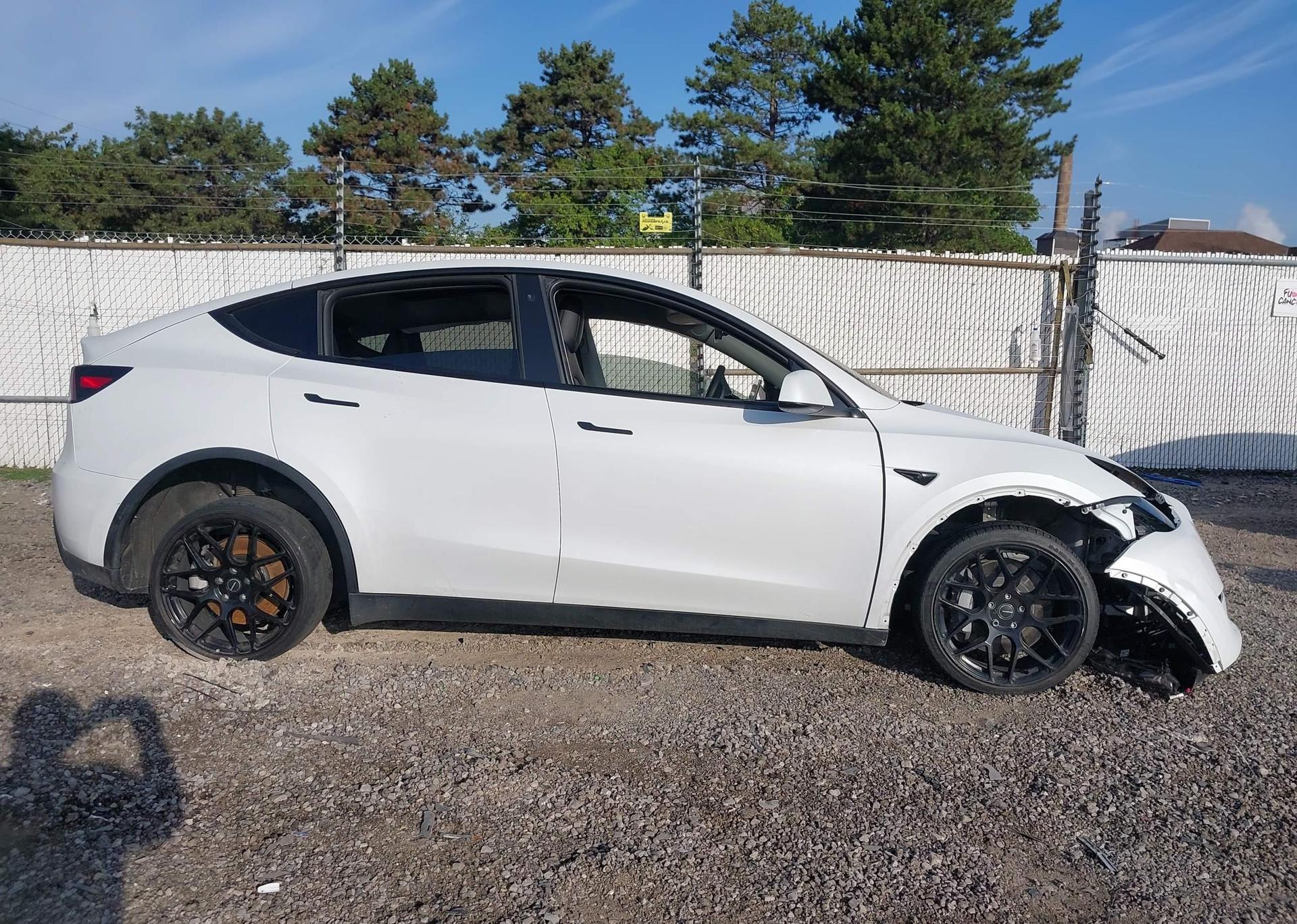 2023 TESLA MODEL Y