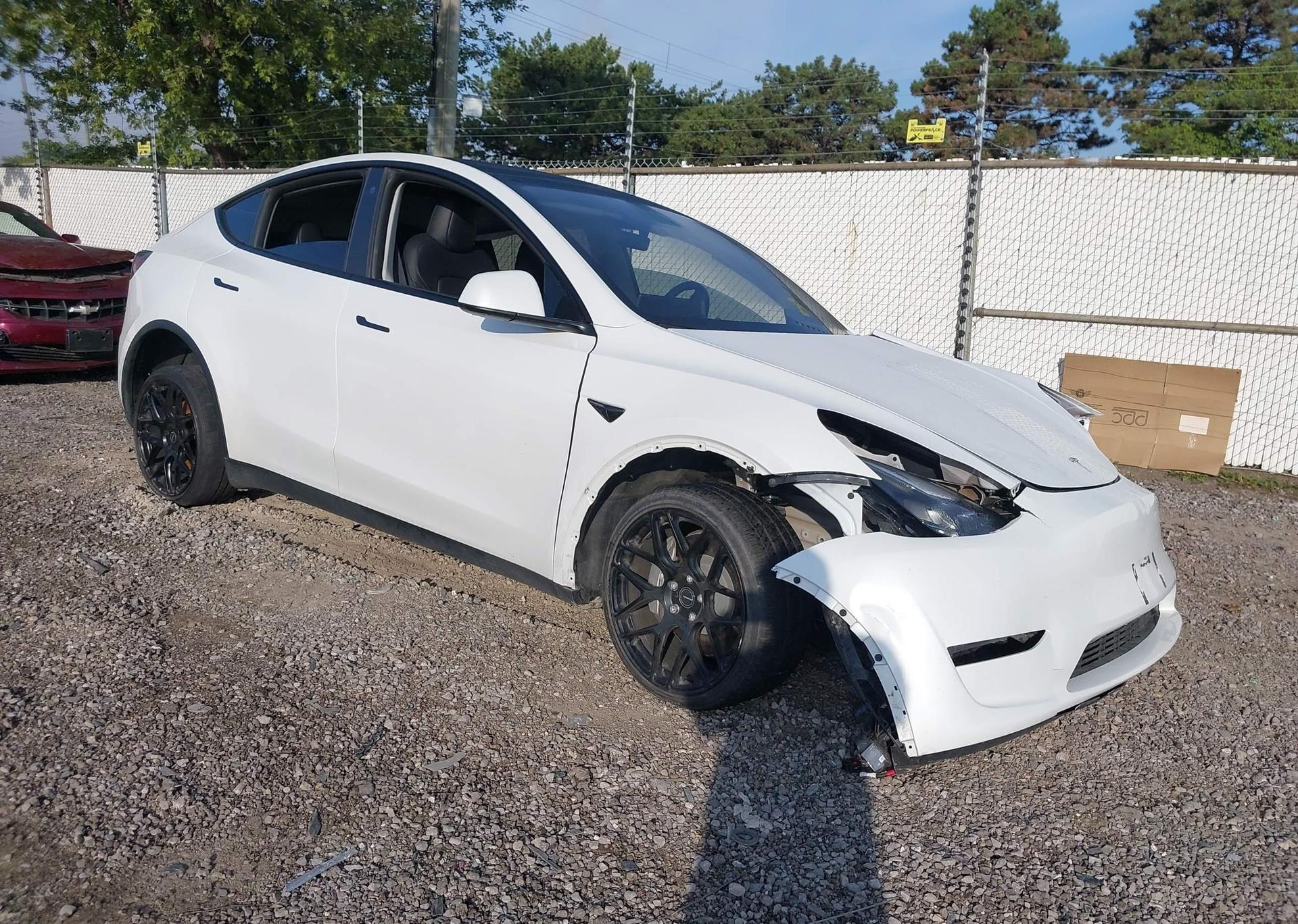 2023 TESLA MODEL Y