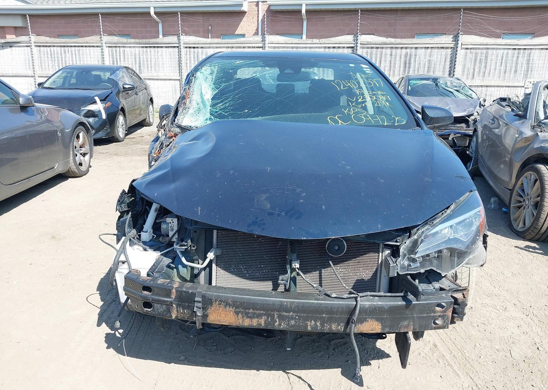 2019 TOYOTA COROLLA