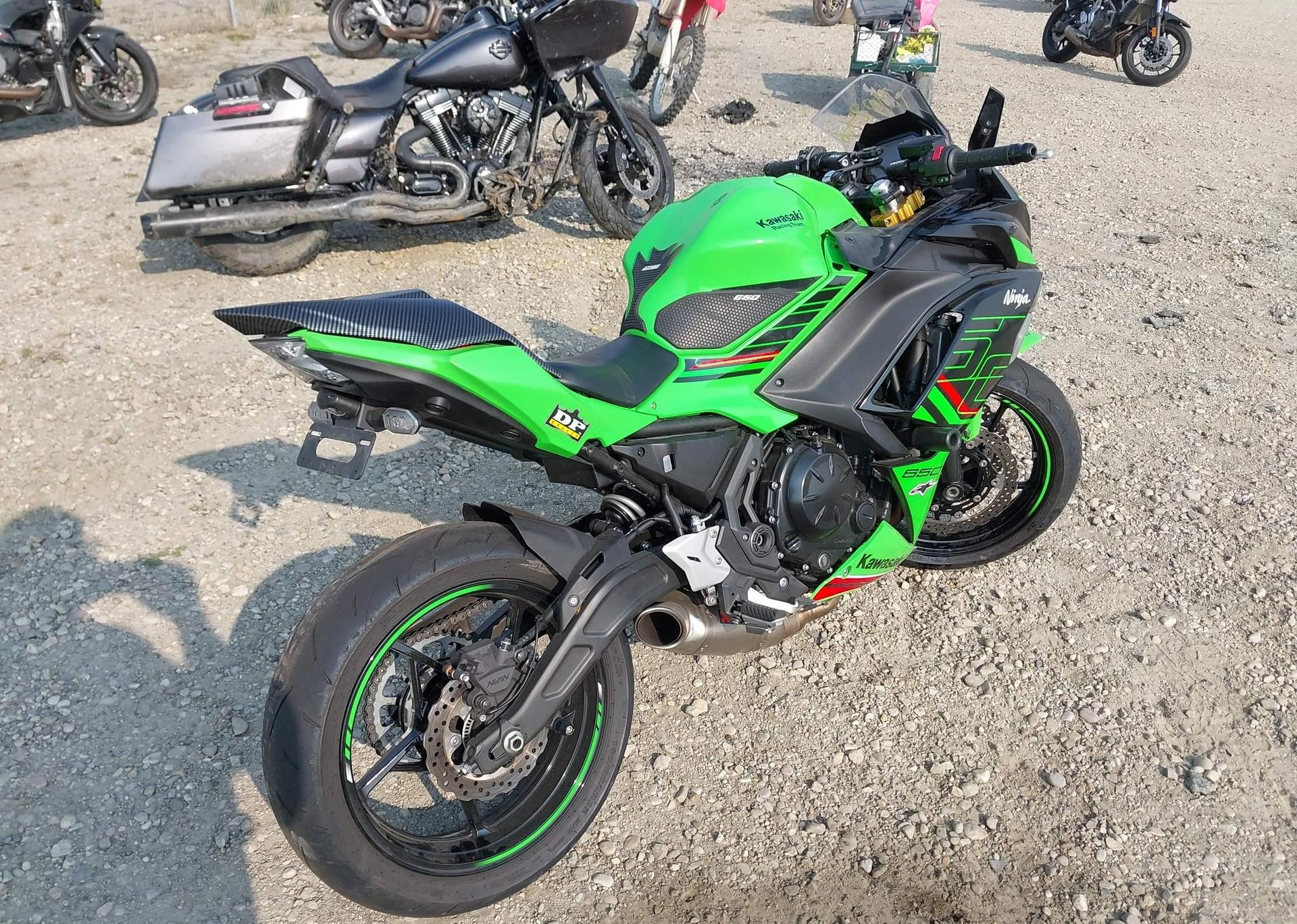 2024 KAWASAKI EX650 P