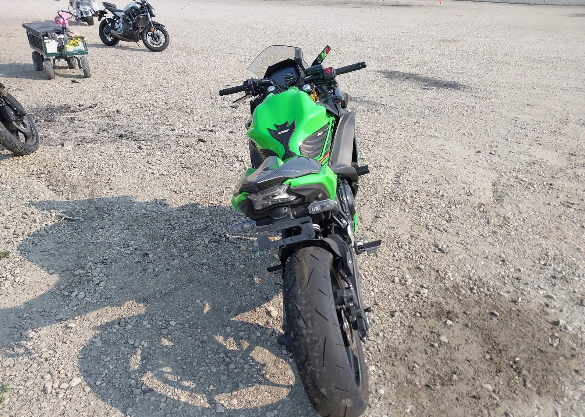2024 KAWASAKI EX650 P
