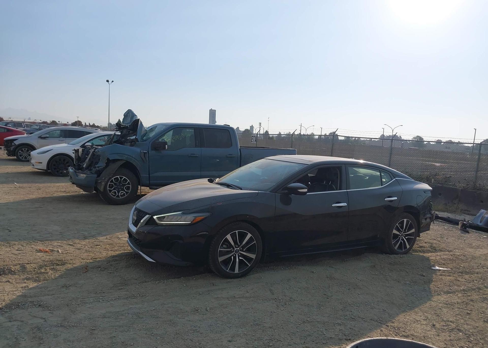 2023 NISSAN MAXIMA SL