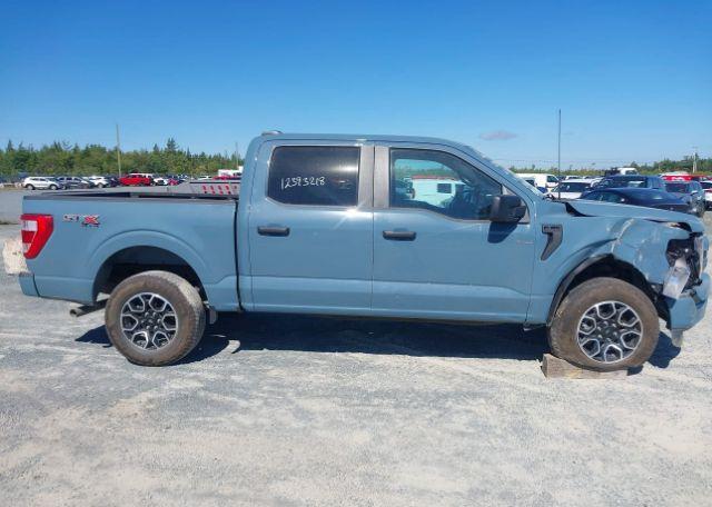 2023 FORD F-150 XL