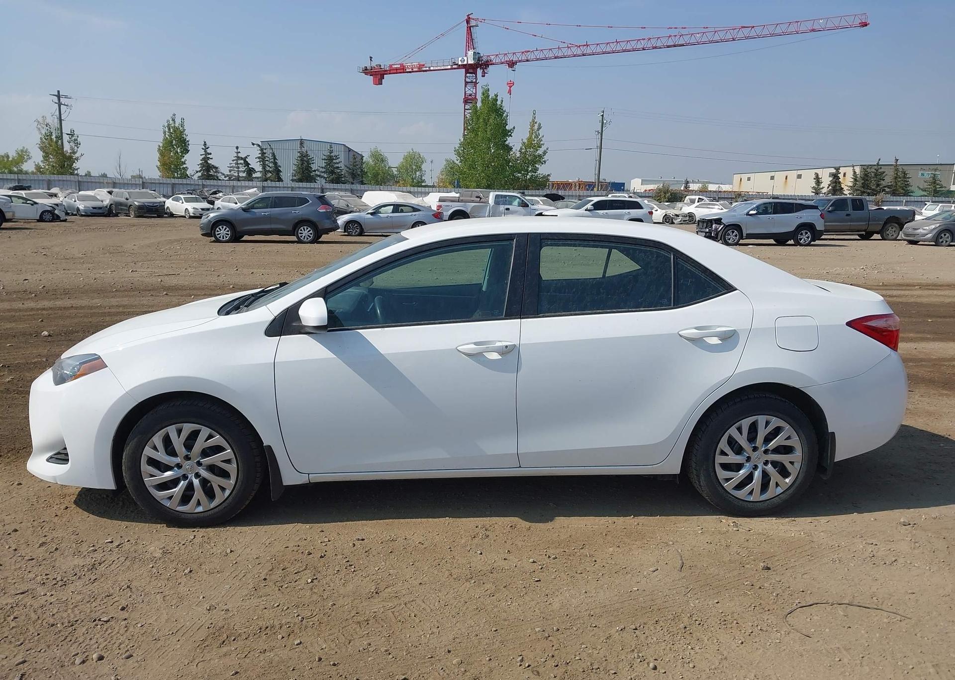 2019 TOYOTA COROLLA LE