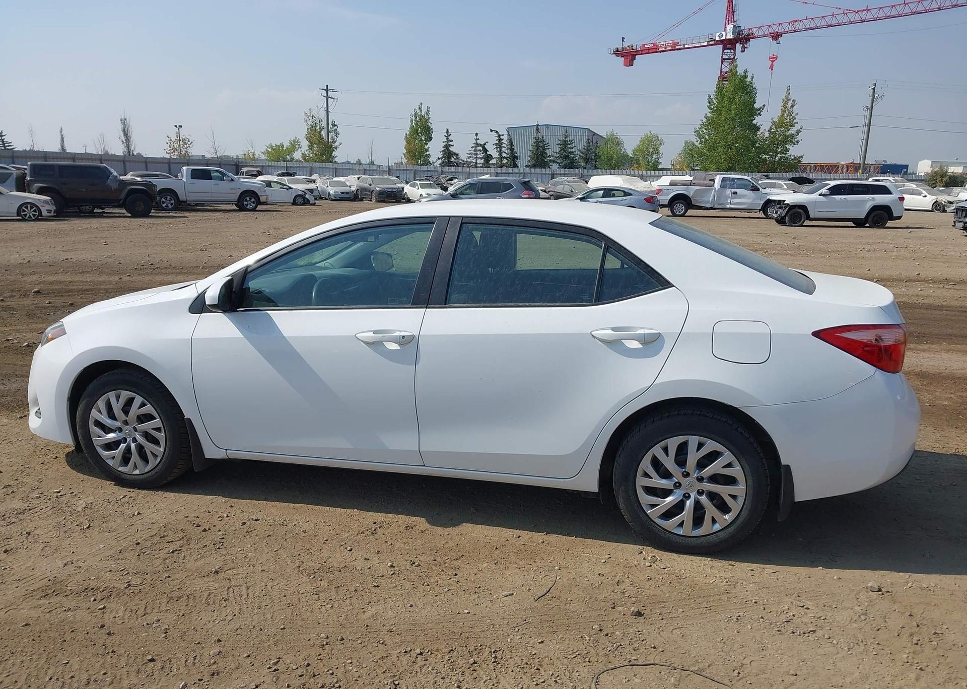 2019 TOYOTA COROLLA LE