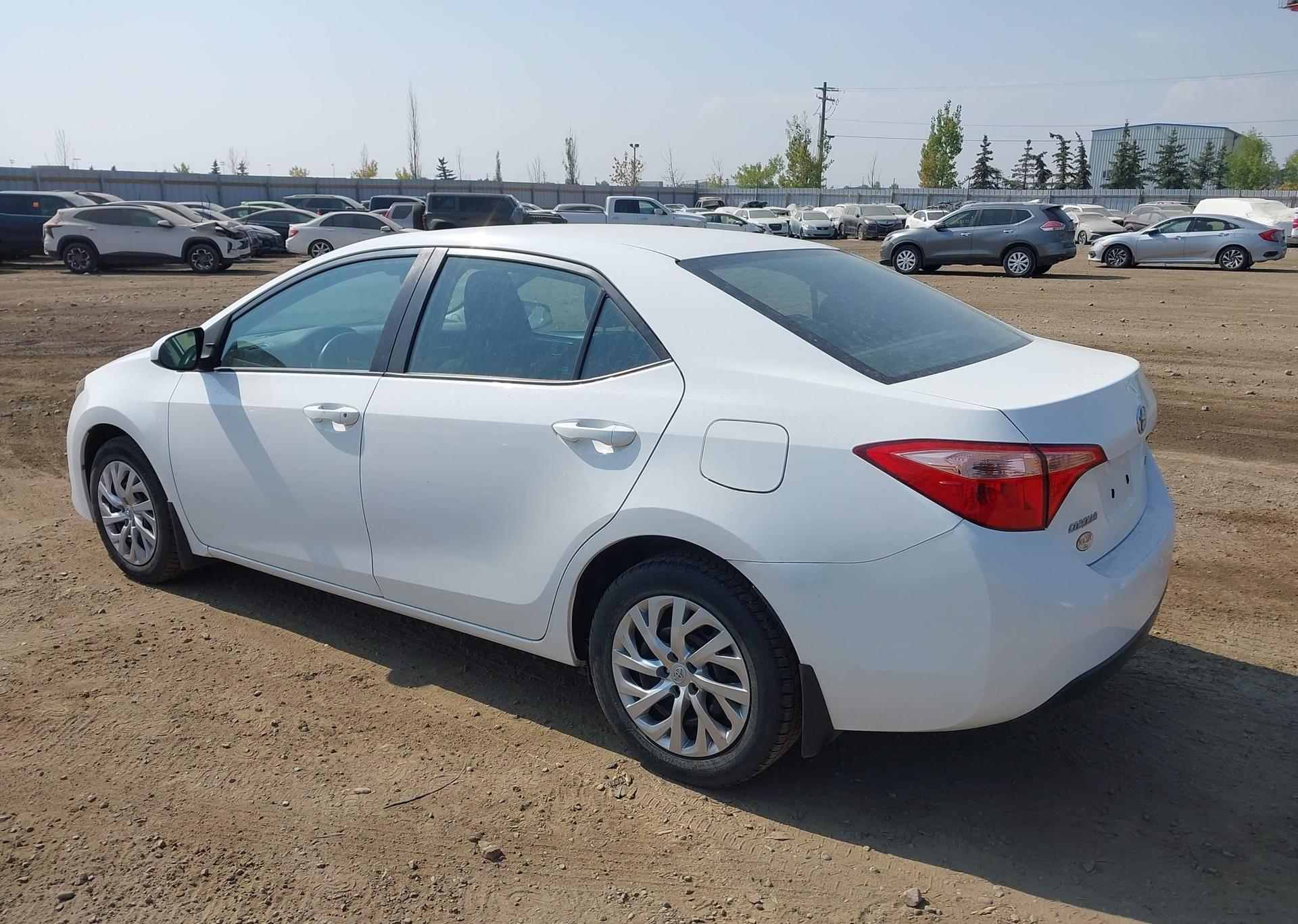 2019 TOYOTA COROLLA LE