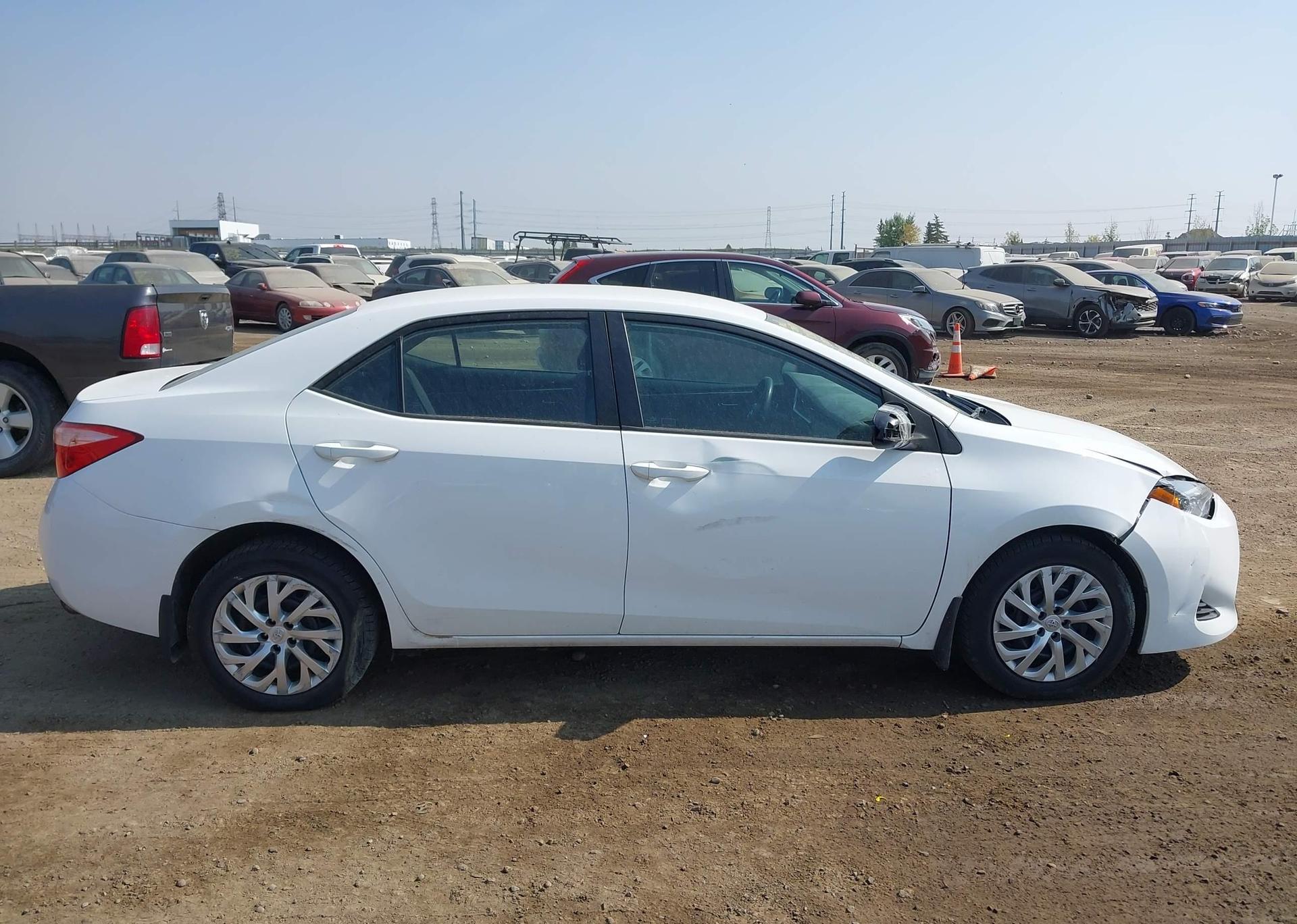 2019 TOYOTA COROLLA LE