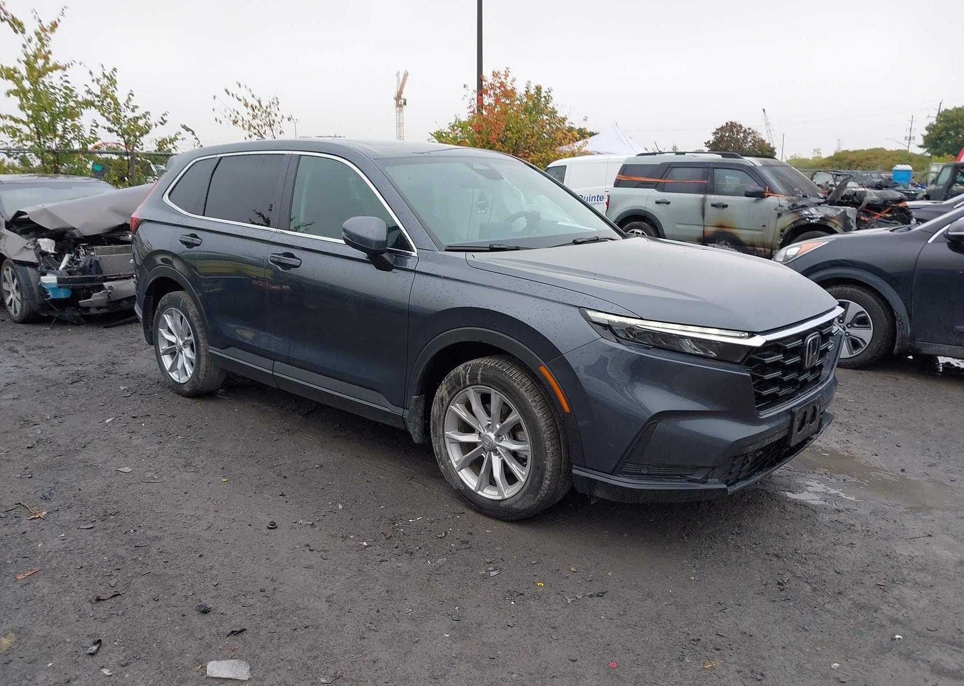 2024 HONDA CR-V