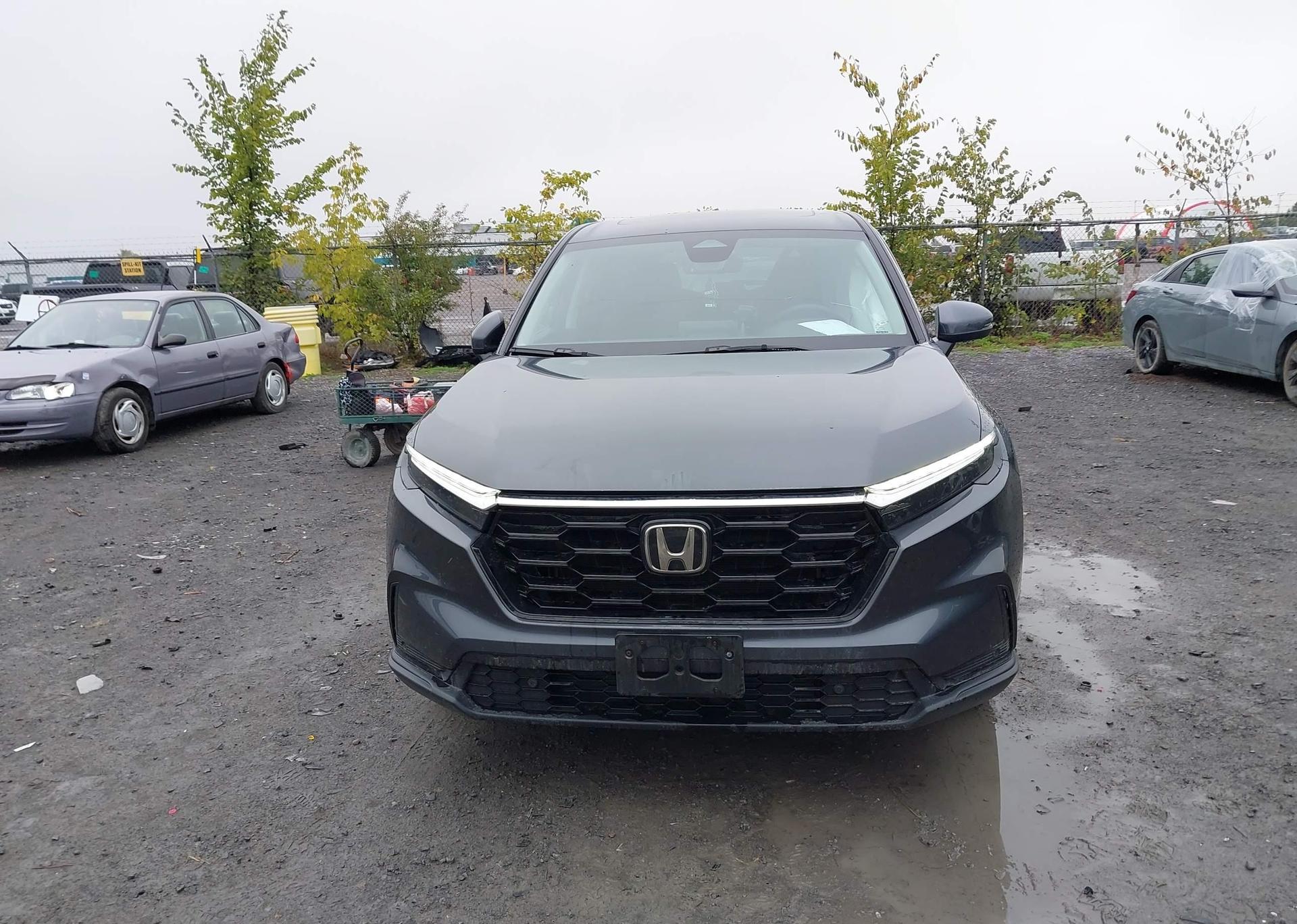 2024 HONDA CR-V