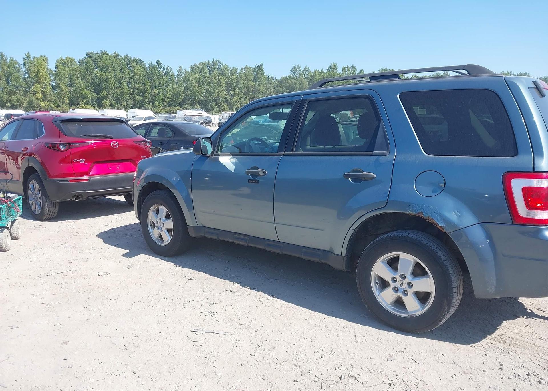 2011 FORD ESCAPE XLT