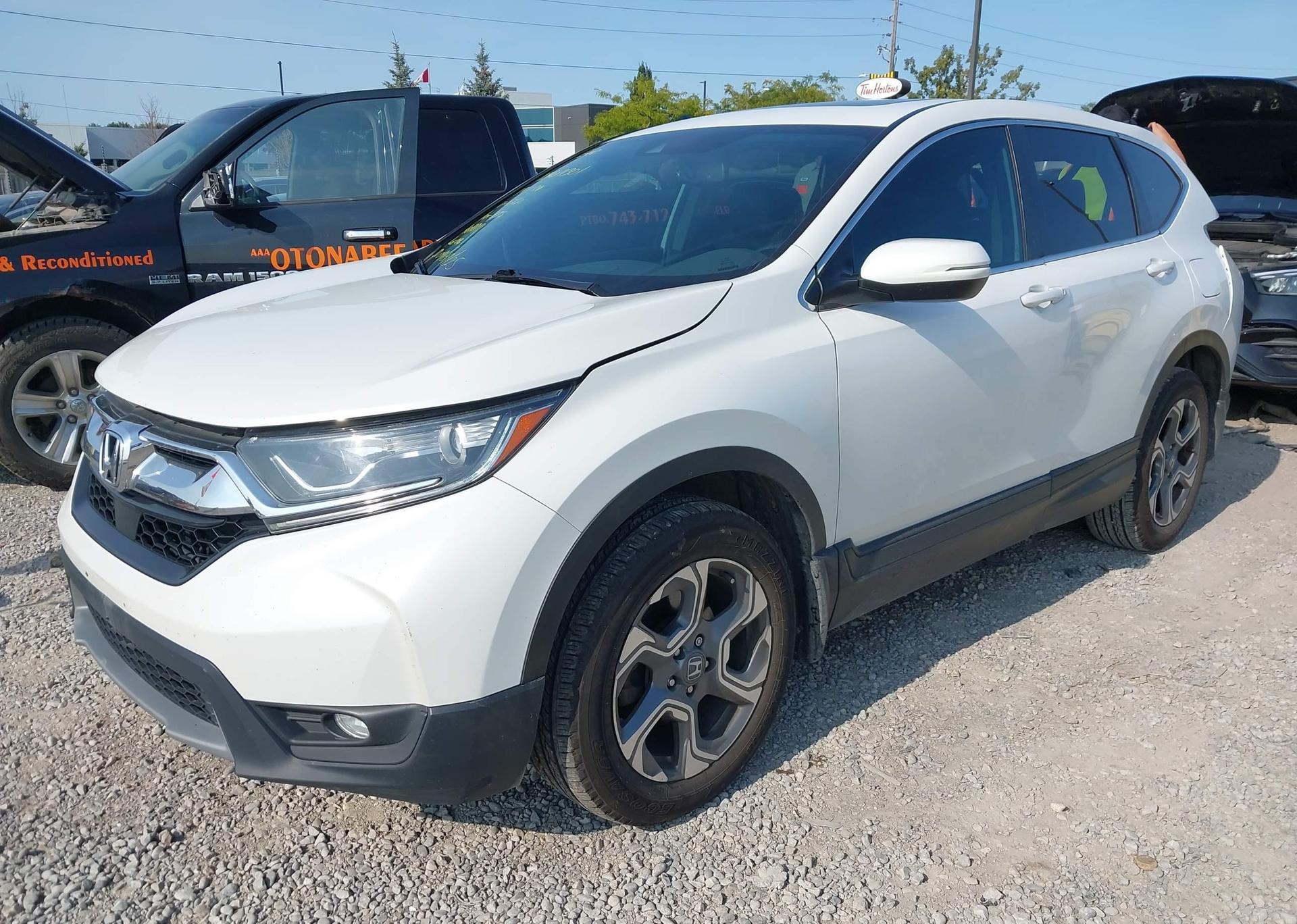 2019 HONDA CR-V