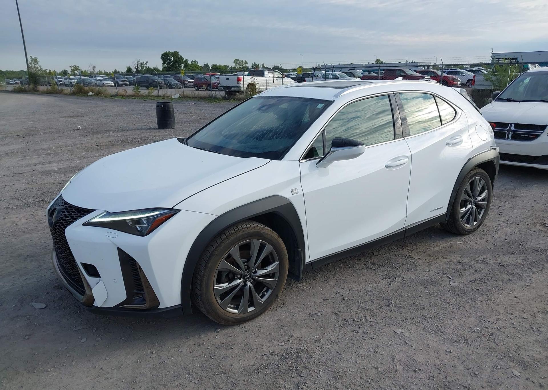 2019 LEXUS UX 250H