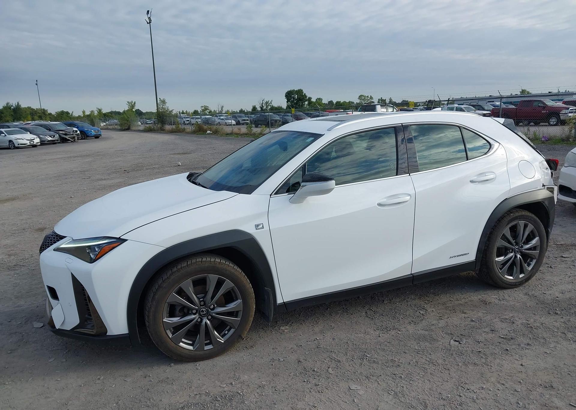 2019 LEXUS UX 250H