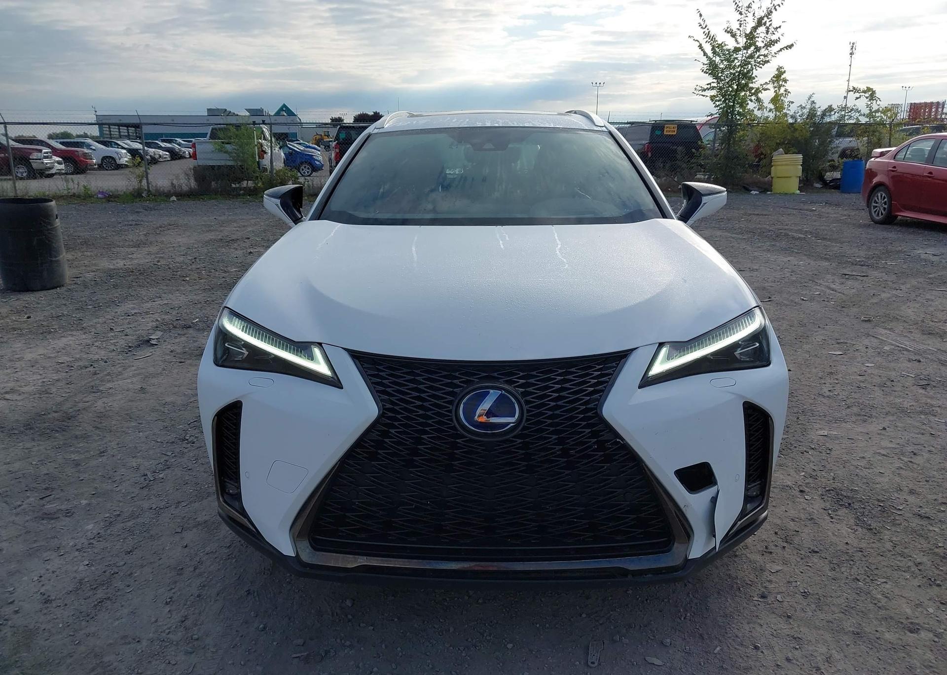 2019 LEXUS UX 250H