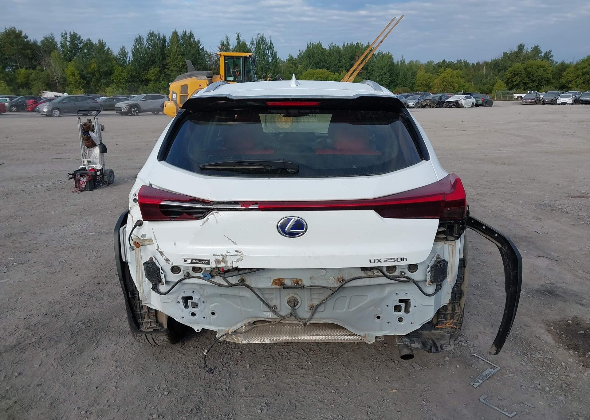 2019 LEXUS UX 250H