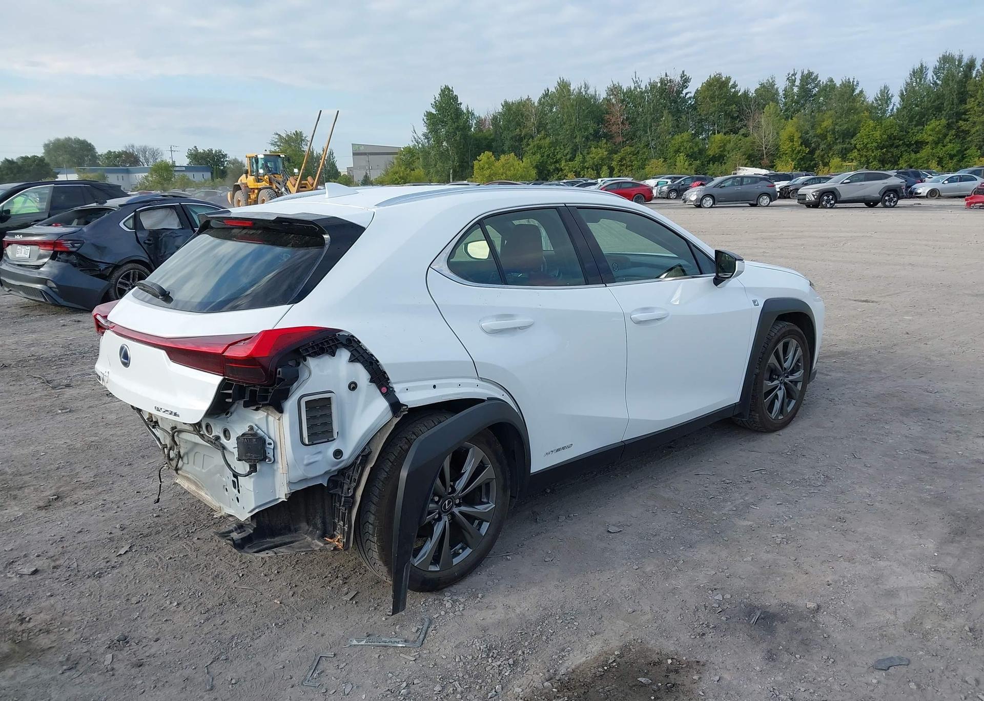 2019 LEXUS UX 250H