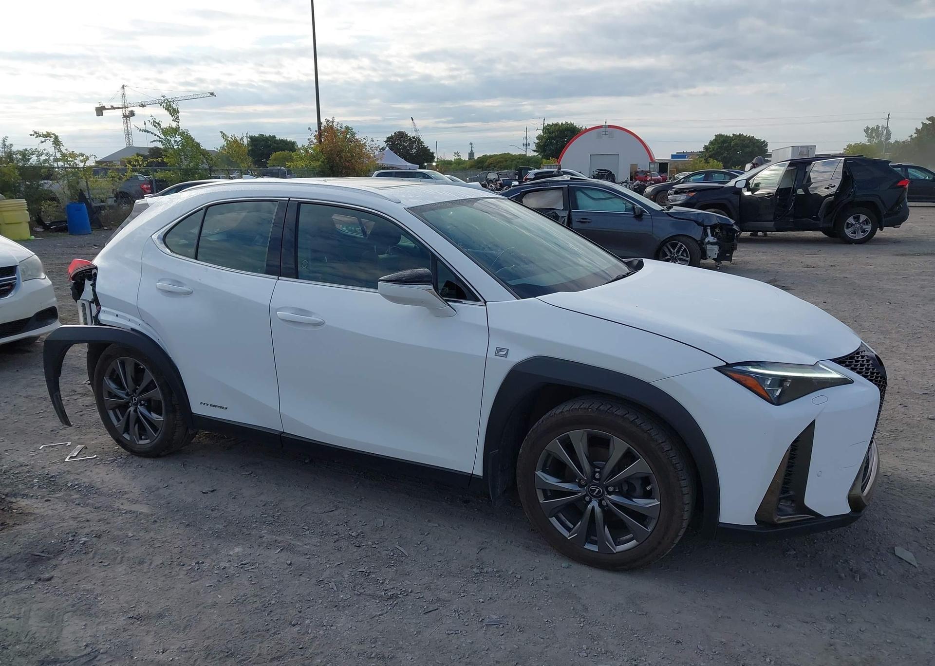 2019 LEXUS UX 250H