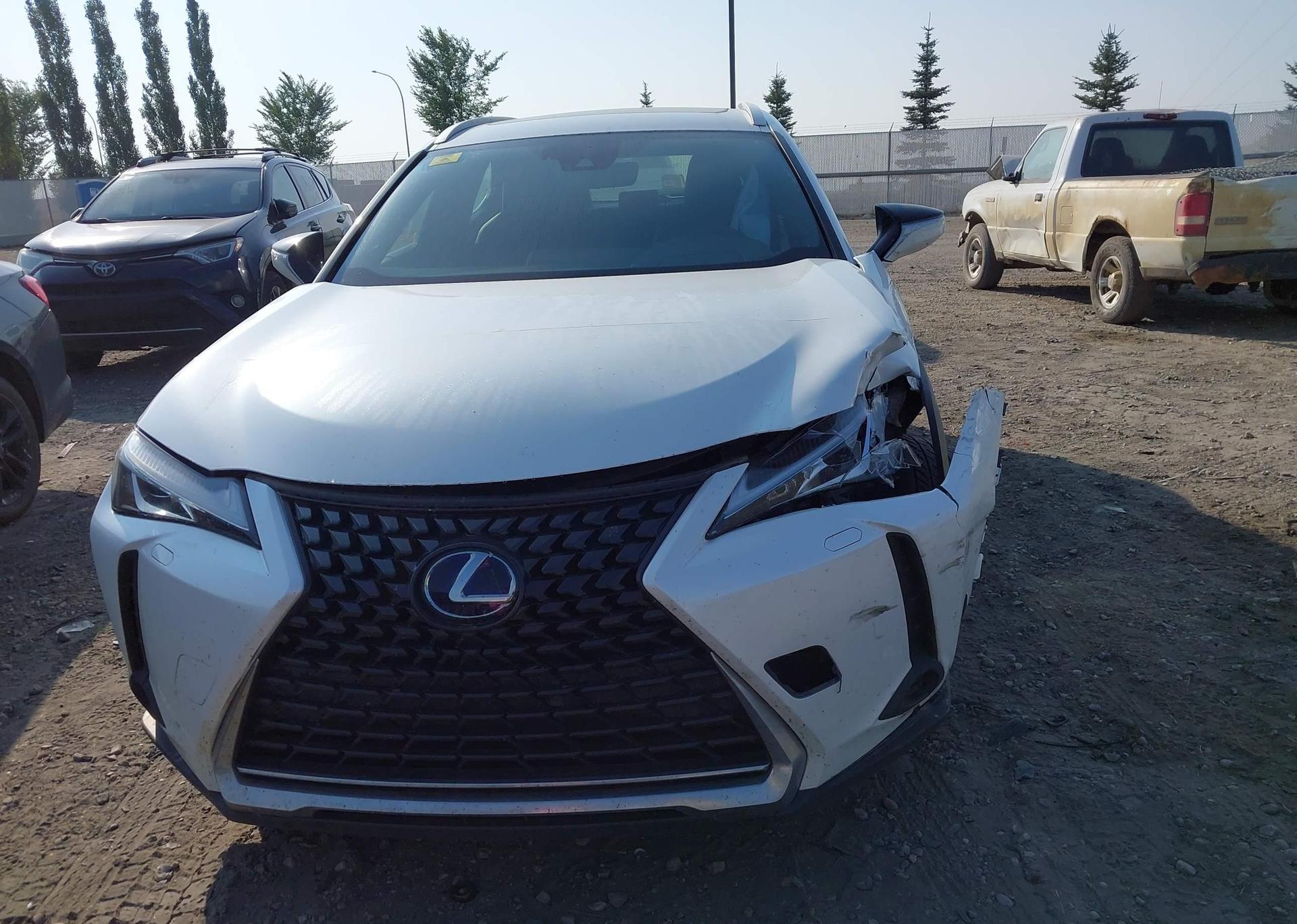 2020 LEXUS UX 250H