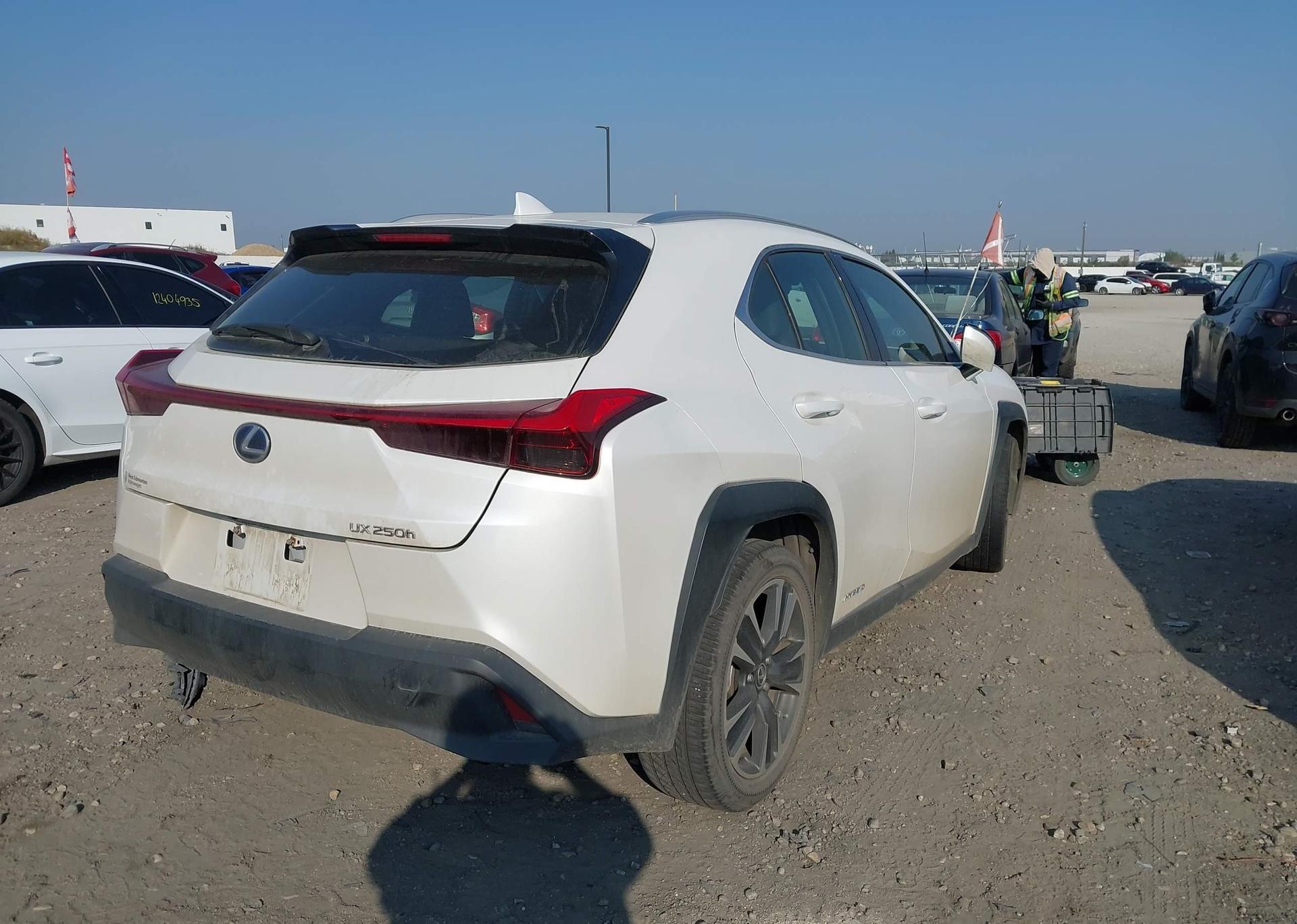 2020 LEXUS UX 250H