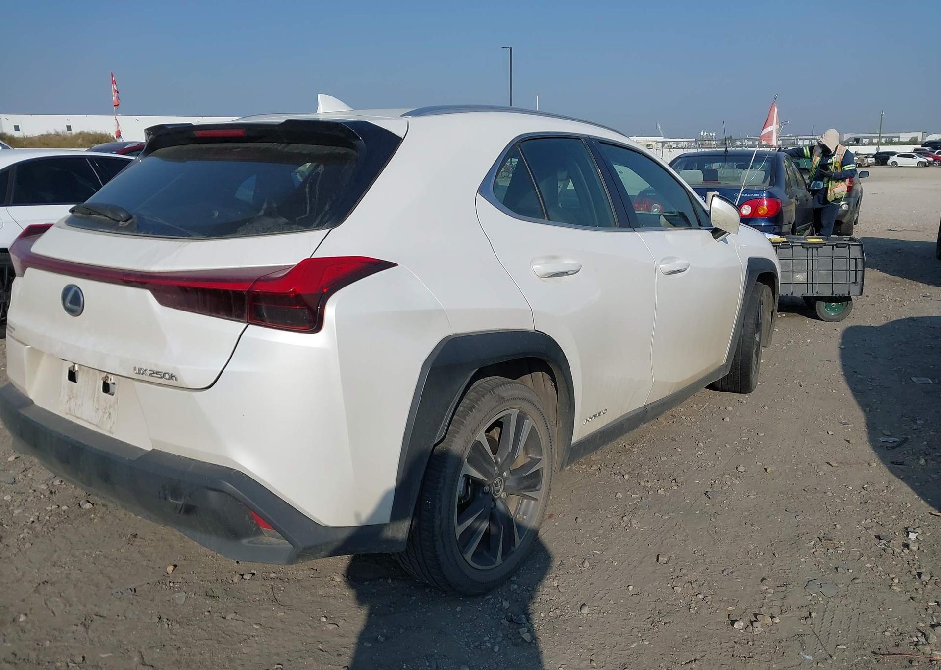 2020 LEXUS UX 250H