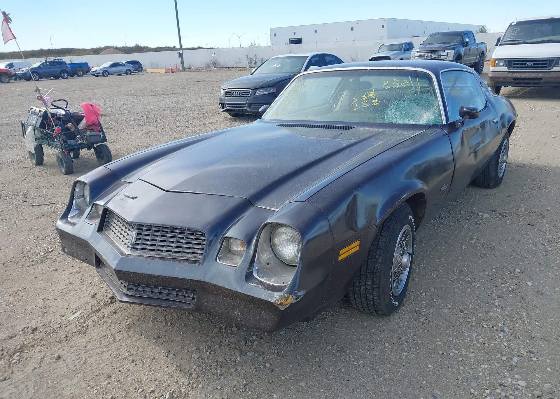 1981 CHEVROLET CAMARO BERLINETTA