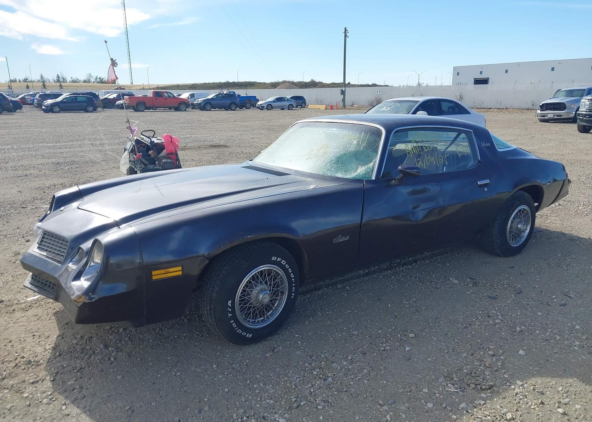 1981 CHEVROLET CAMARO BERLINETTA