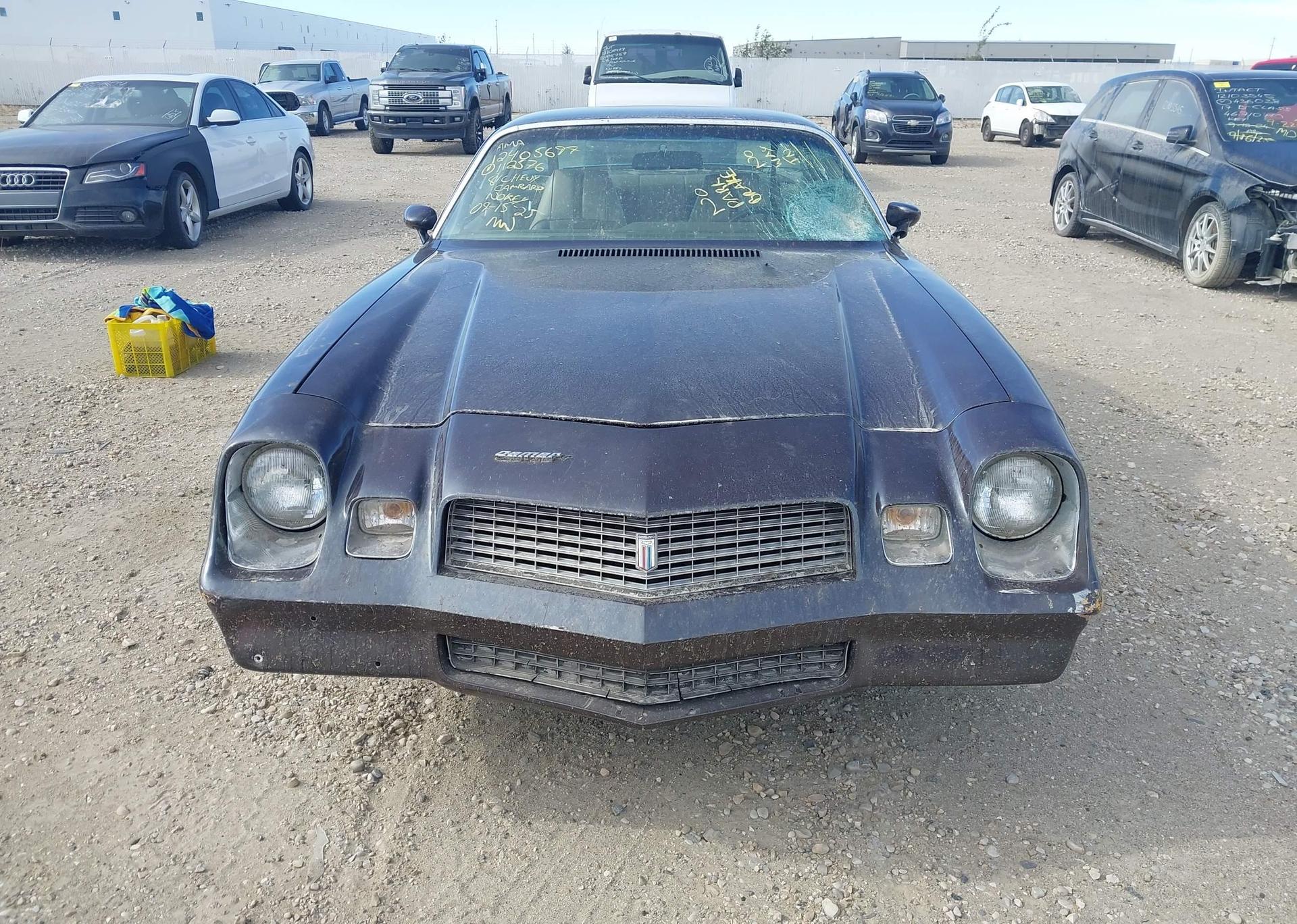 1981 CHEVROLET CAMARO BERLINETTA