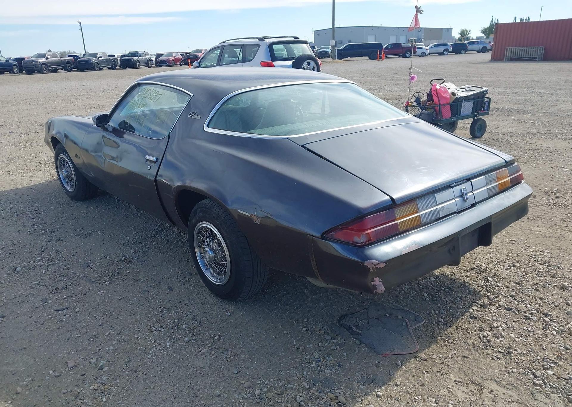 1981 CHEVROLET CAMARO BERLINETTA