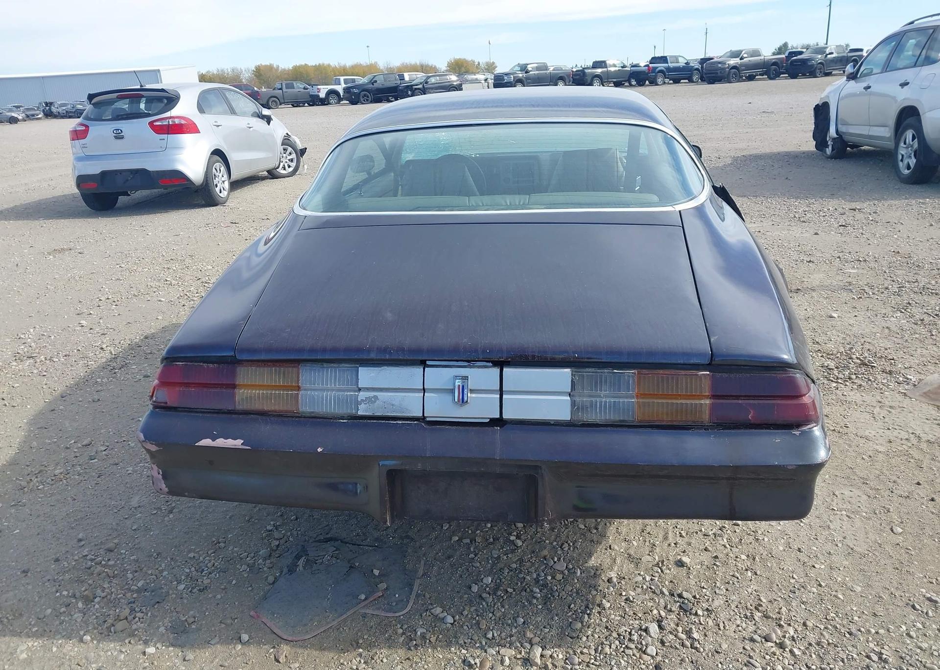 1981 CHEVROLET CAMARO BERLINETTA