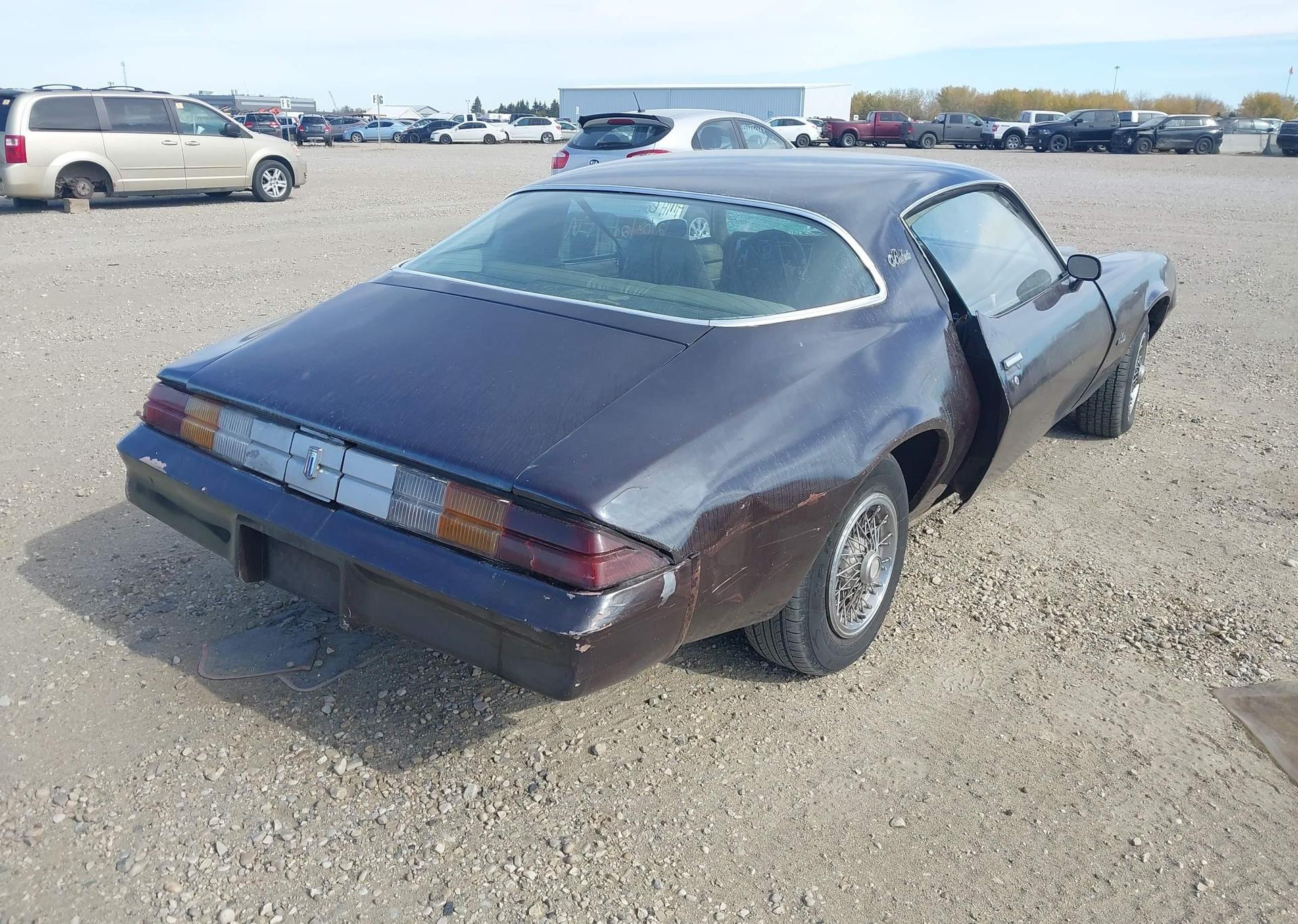 1981 CHEVROLET CAMARO BERLINETTA