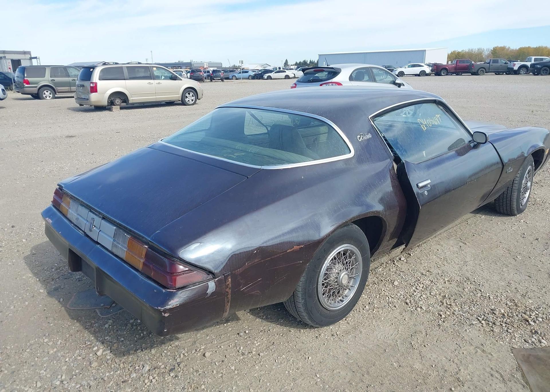 1981 CHEVROLET CAMARO BERLINETTA