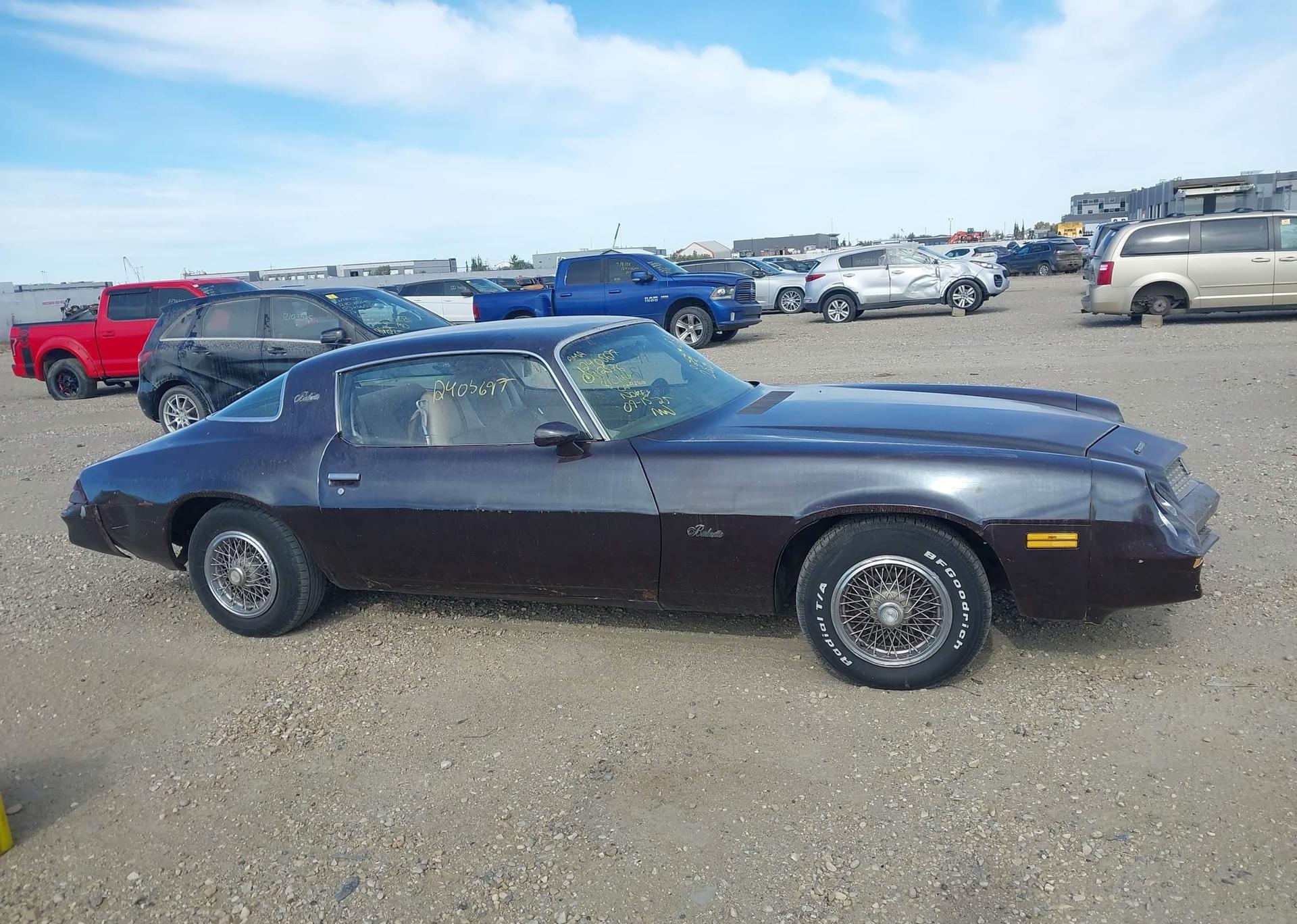 1981 CHEVROLET CAMARO BERLINETTA