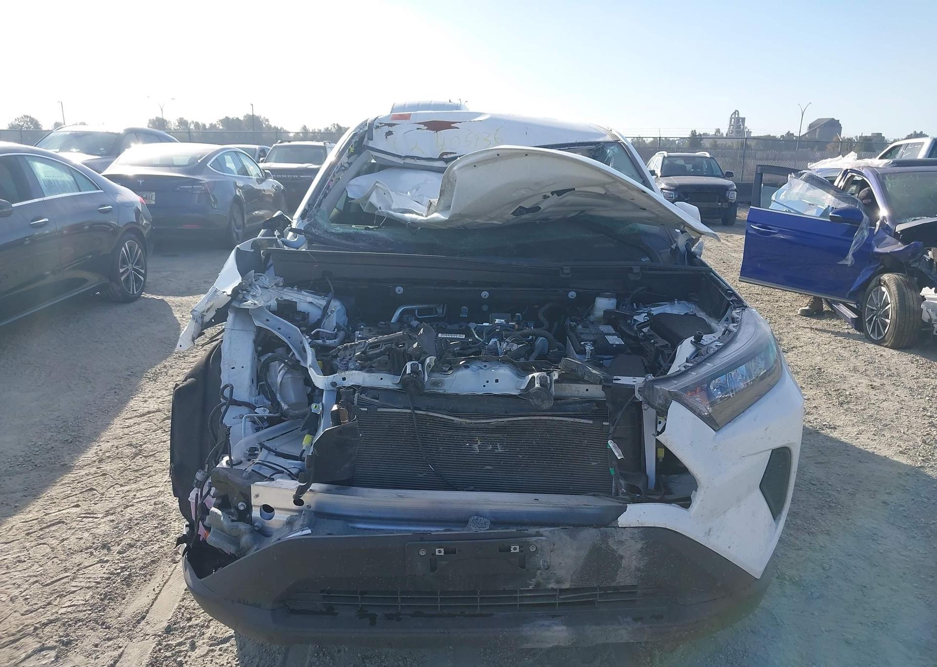 2025 TOYOTA RAV4 LE