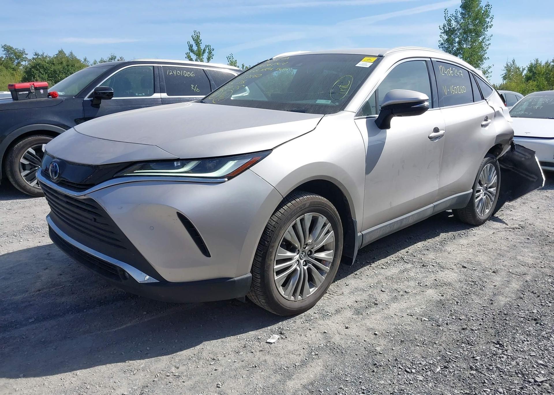 2023 TOYOTA VENZA XLE