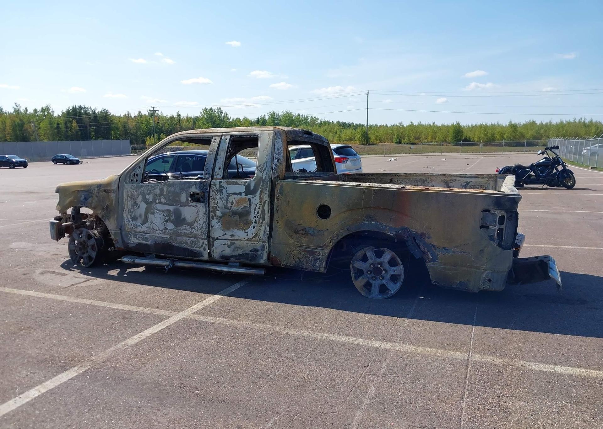 2010 FORD F-150 FX4