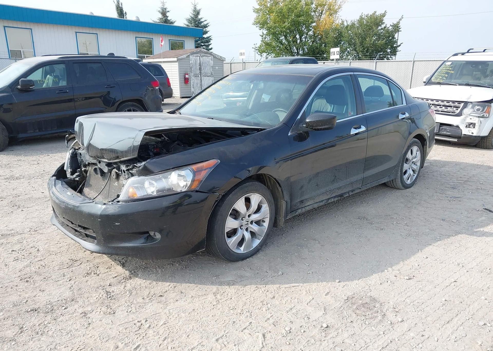 2010 HONDA ACCORD EXL
