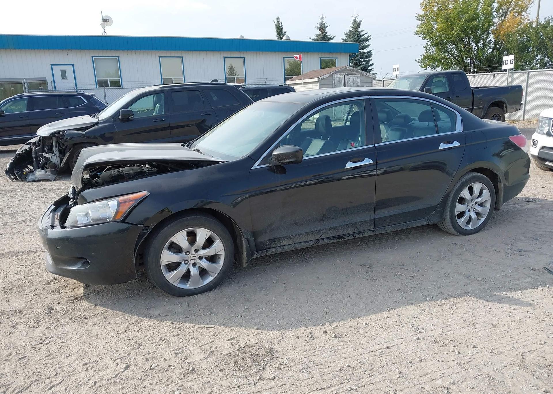 2010 HONDA ACCORD EXL