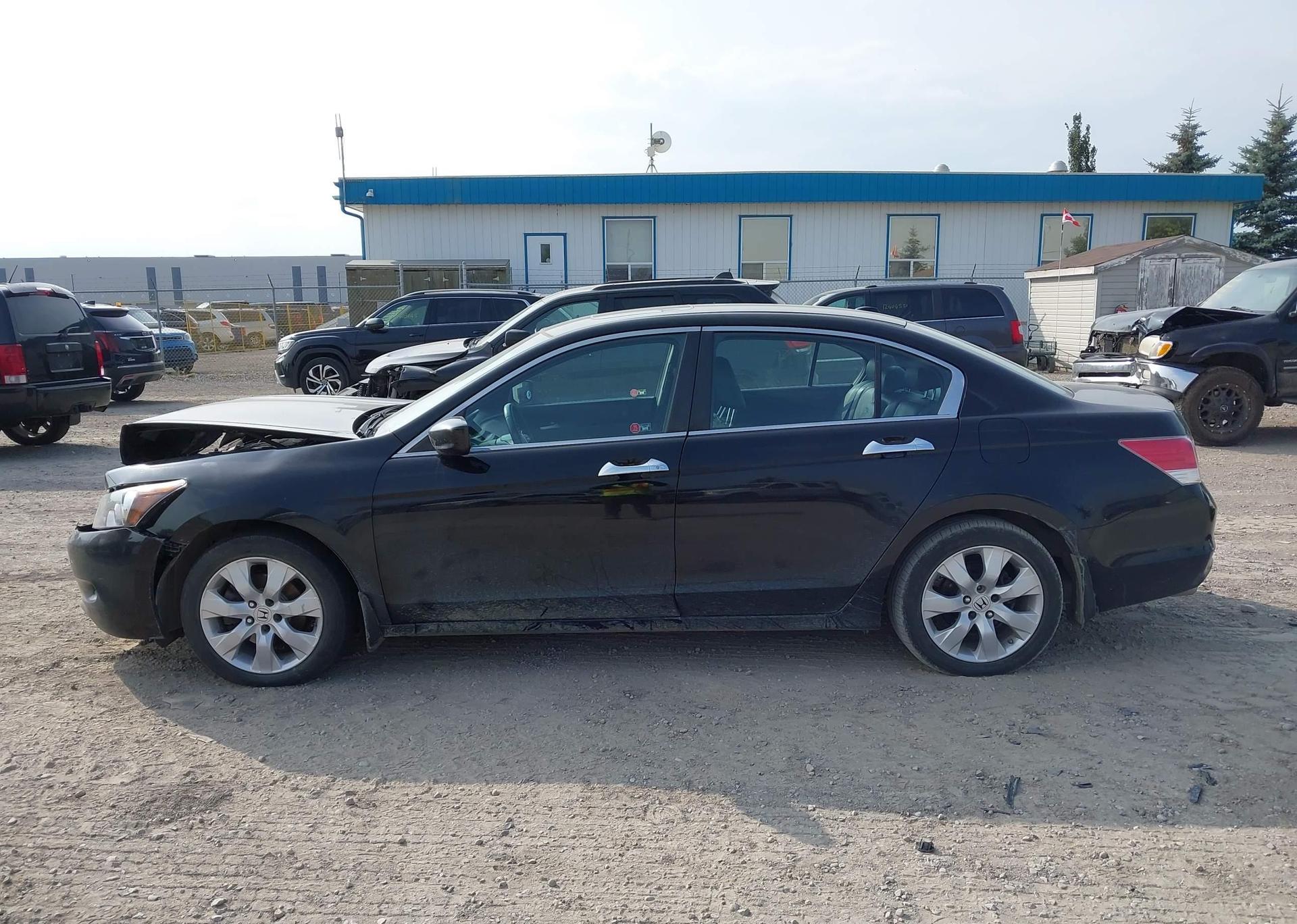 2010 HONDA ACCORD EXL