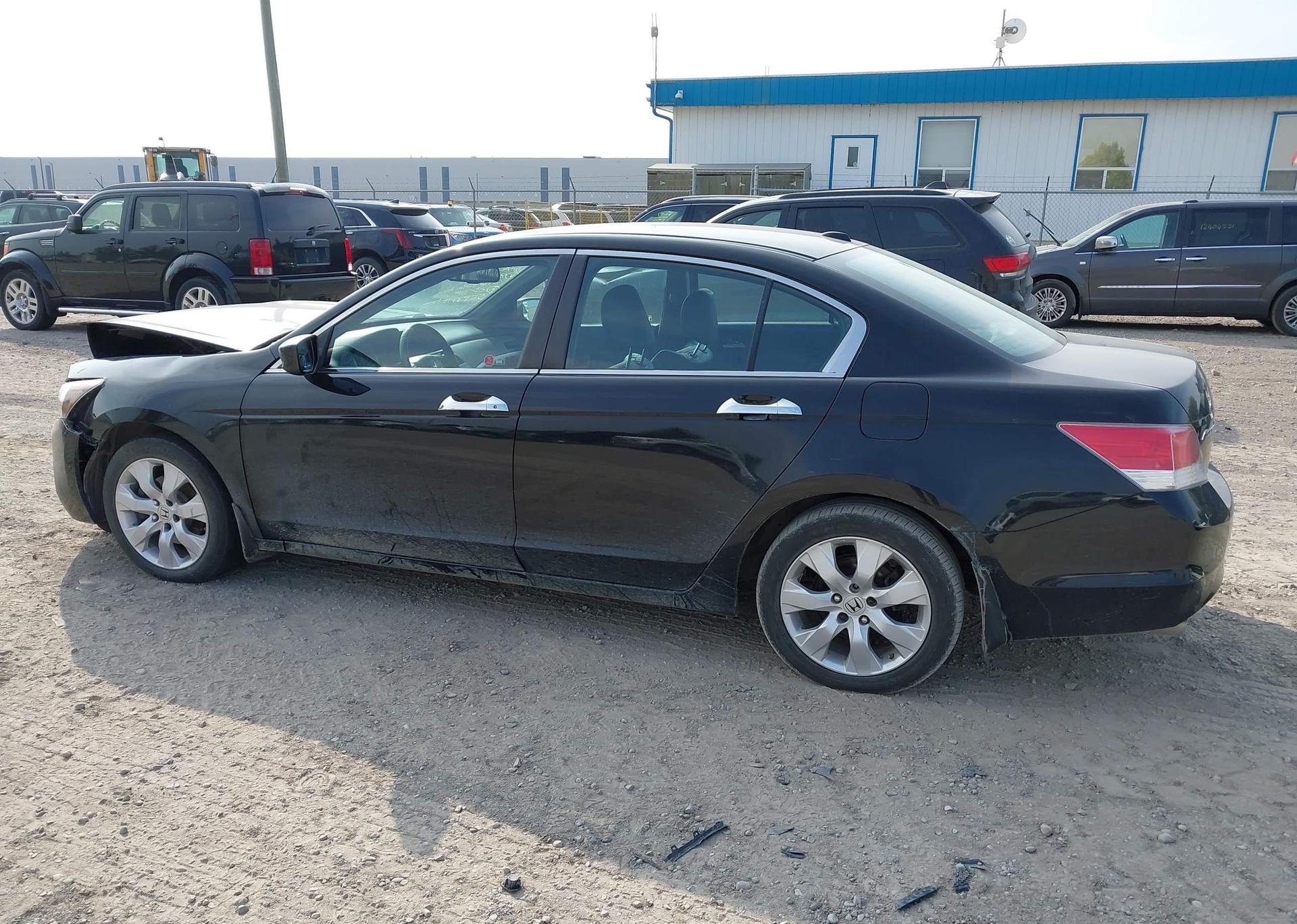 2010 HONDA ACCORD EXL