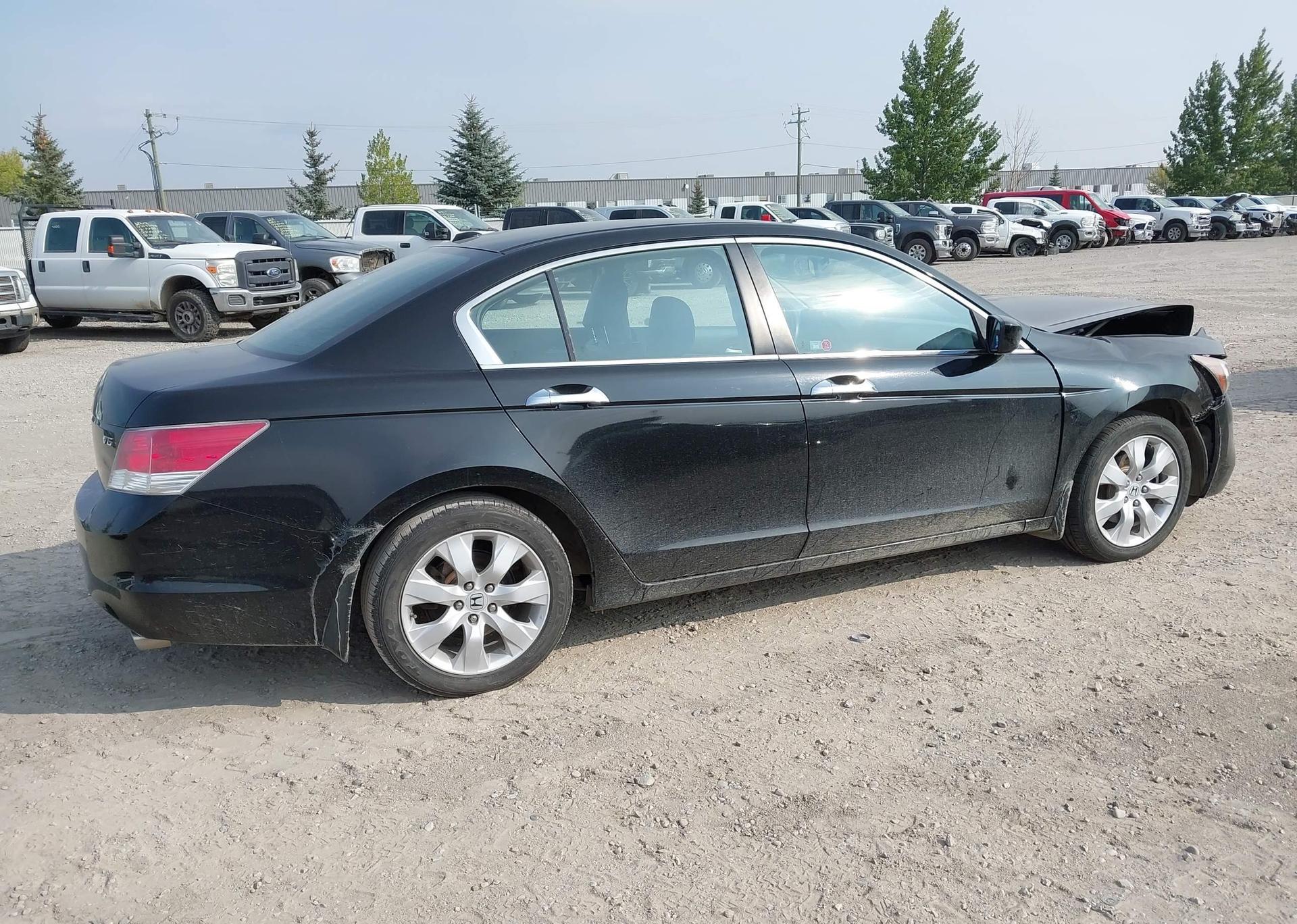 2010 HONDA ACCORD EXL