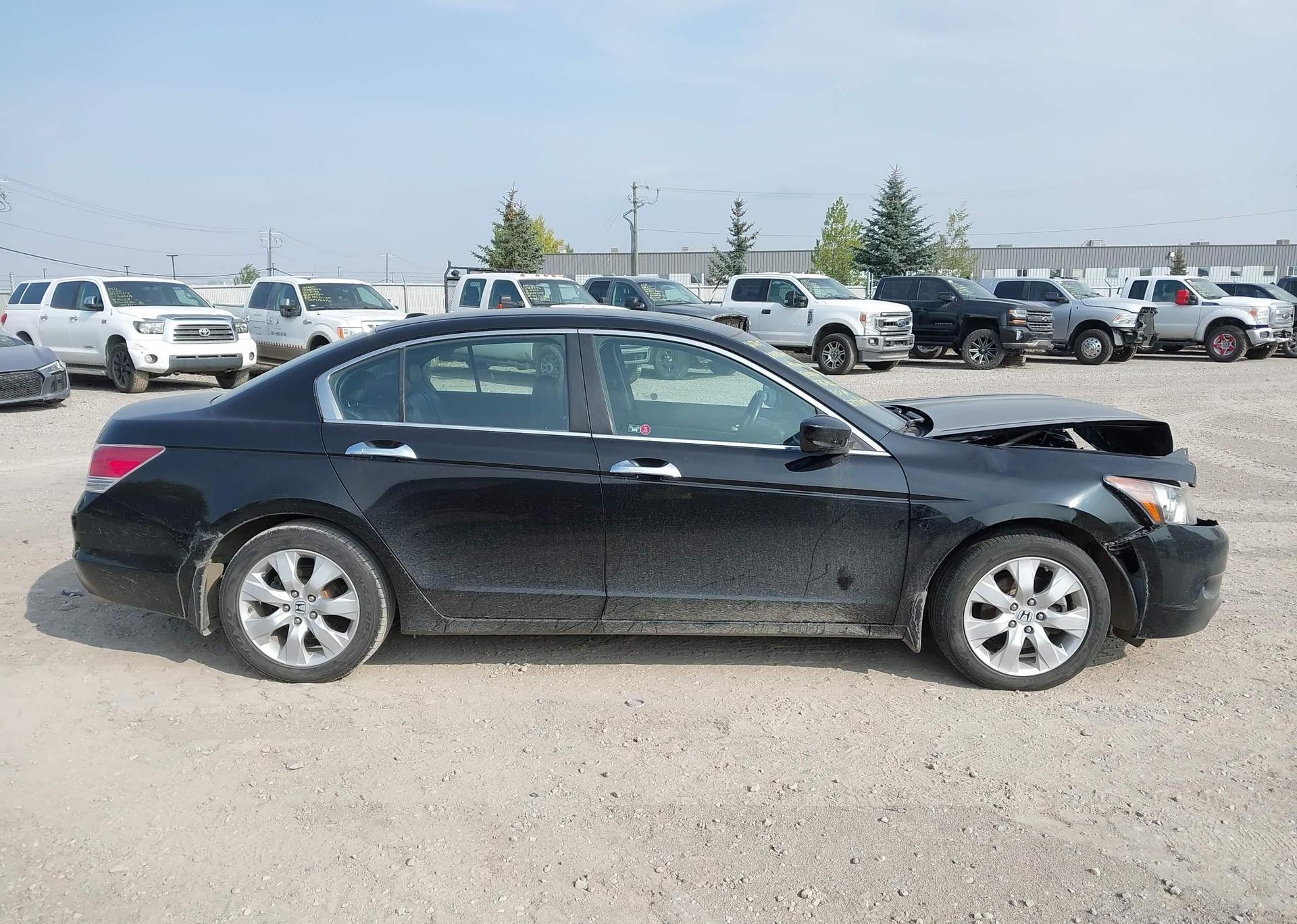 2010 HONDA ACCORD EXL