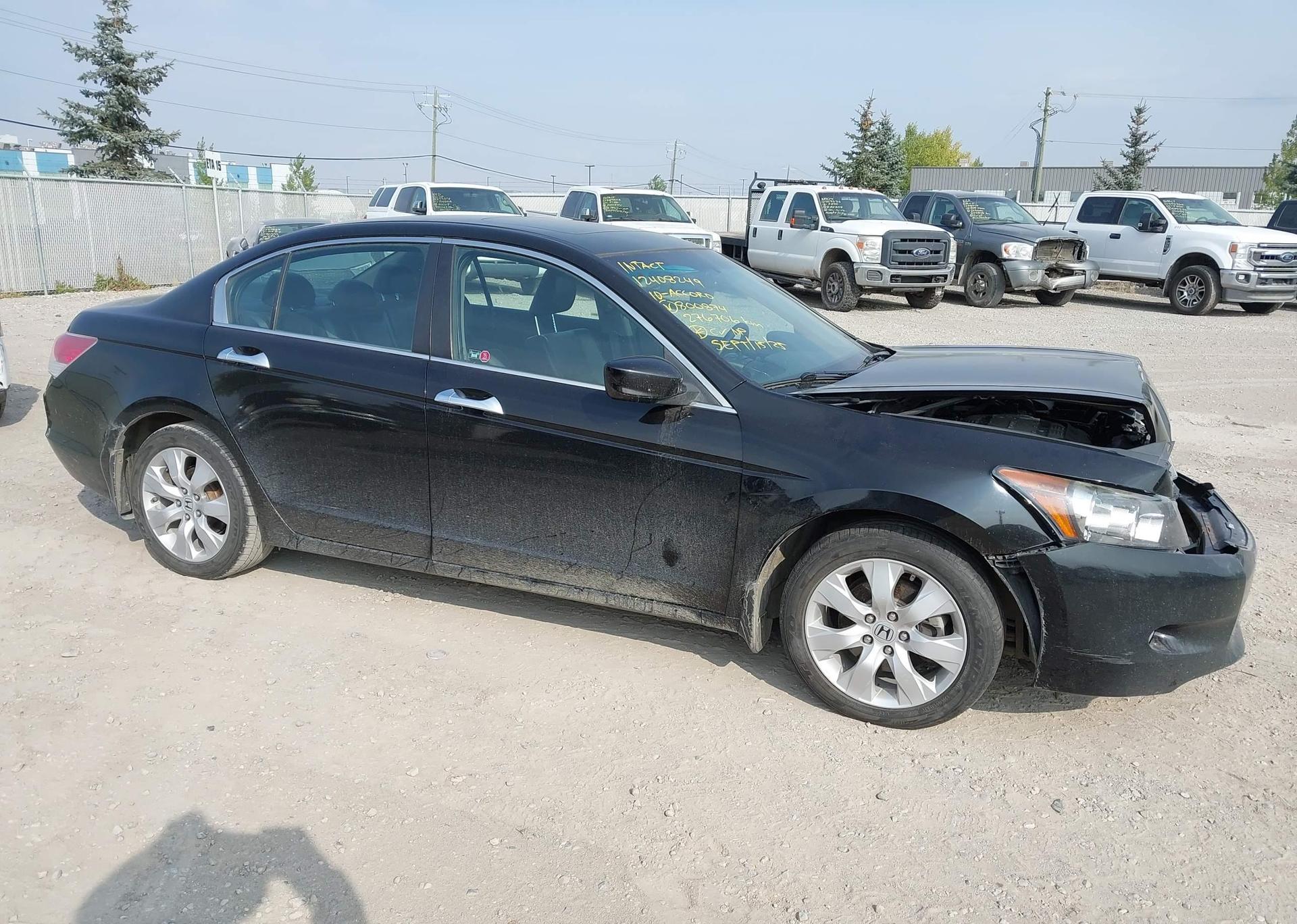 2010 HONDA ACCORD EXL