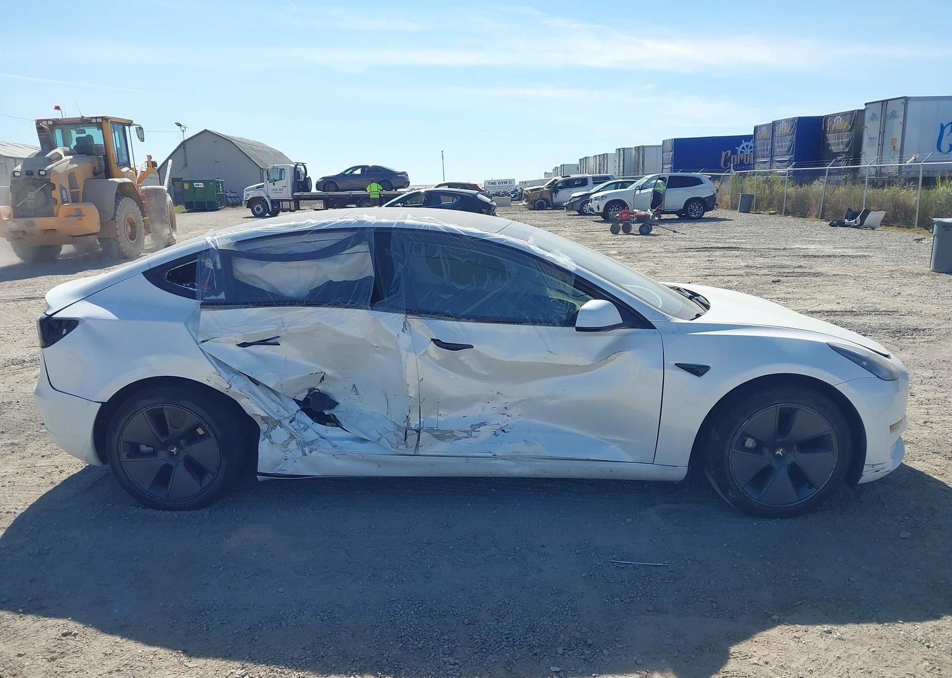 2023 TESLA MODEL 3 RWD