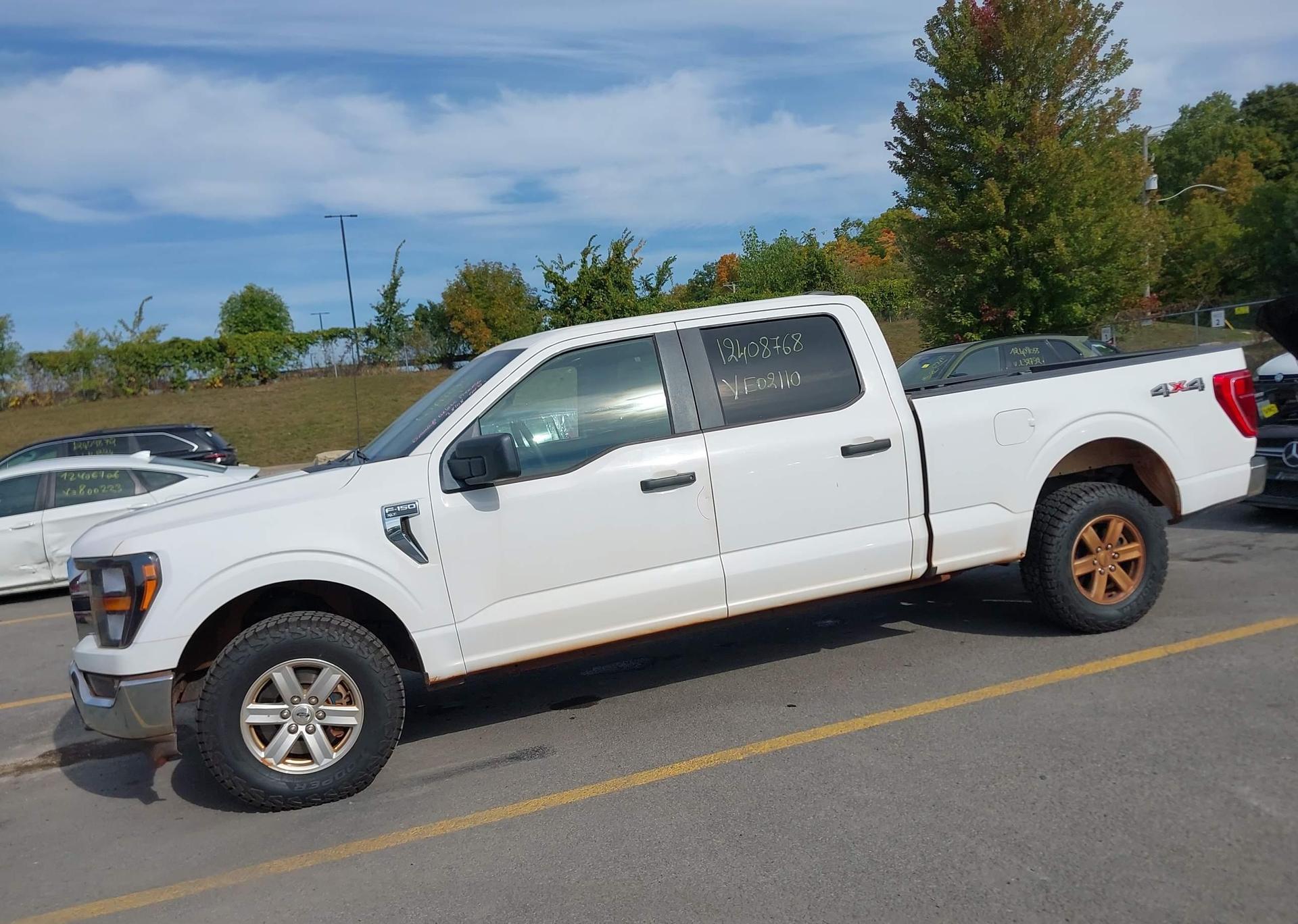 2023 FORD F-150 XLT