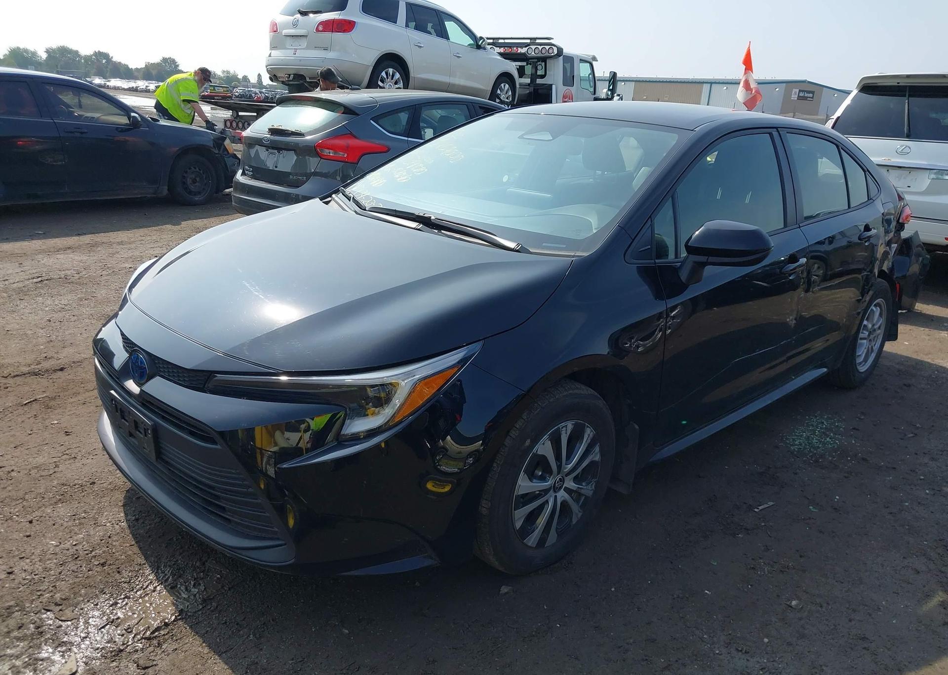 2024 TOYOTA COROLLA