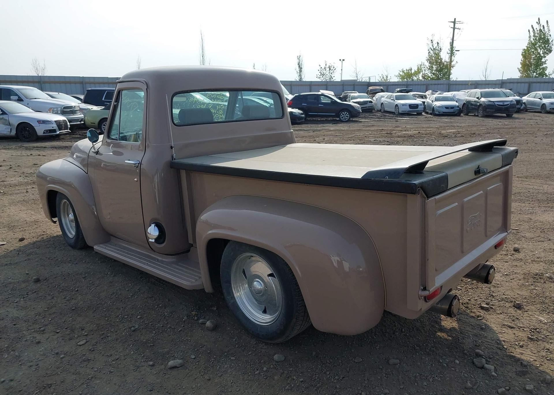 1954 FORD F100