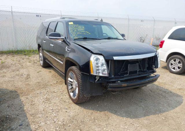 2011 CADILLAC ESCALADE ESV PLATINUM EDITION